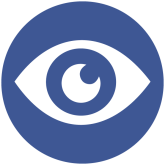 ICONS_VISION